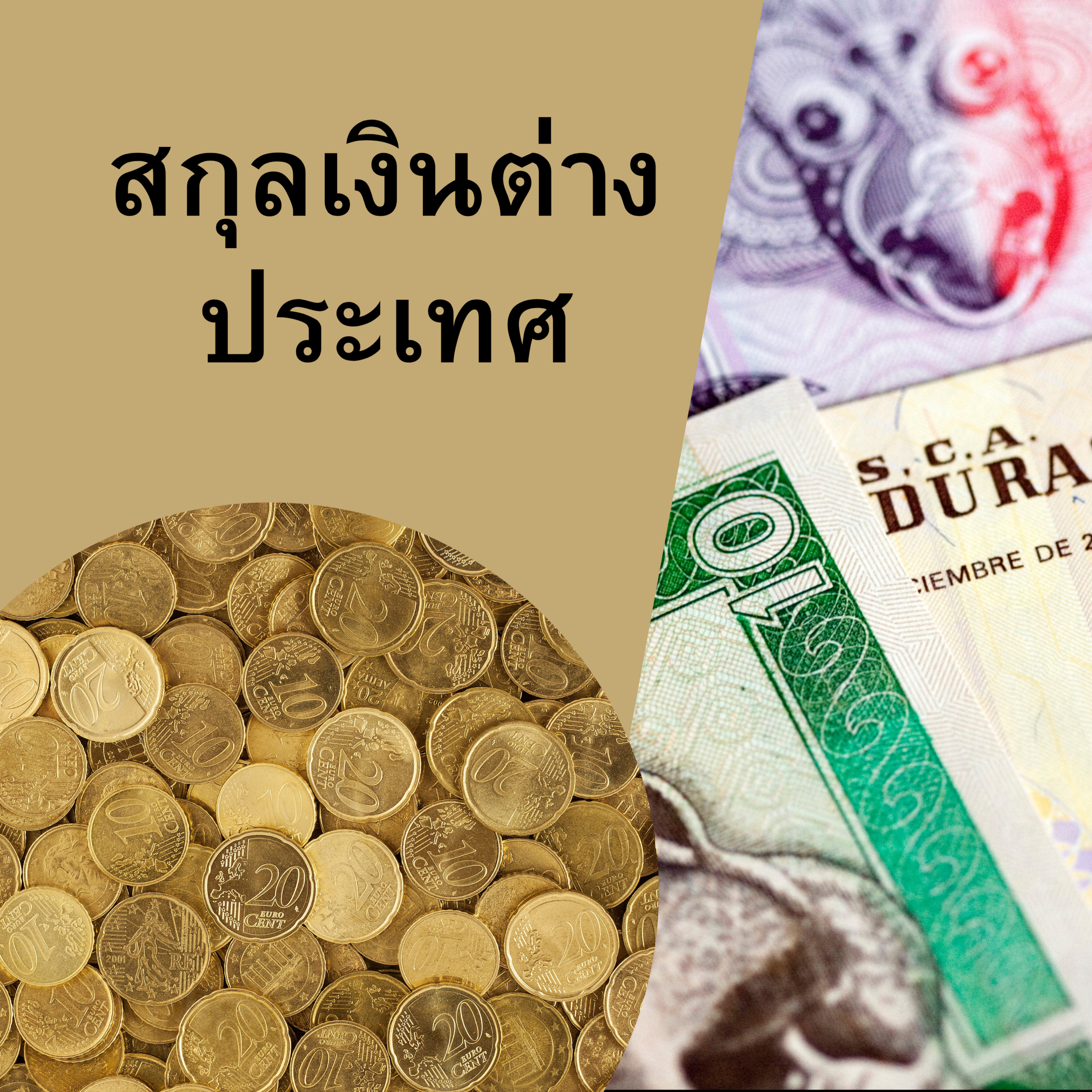 สกุลเงินต่างประเทศคืออะไร?