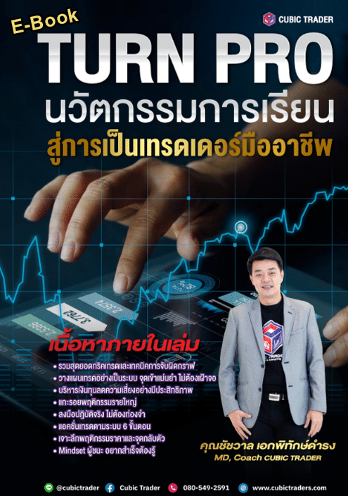E-Book นวัตกรรมการเรียนสู่การเป็นเทรดเดอร์มืออาชีพ (Turn Pro)